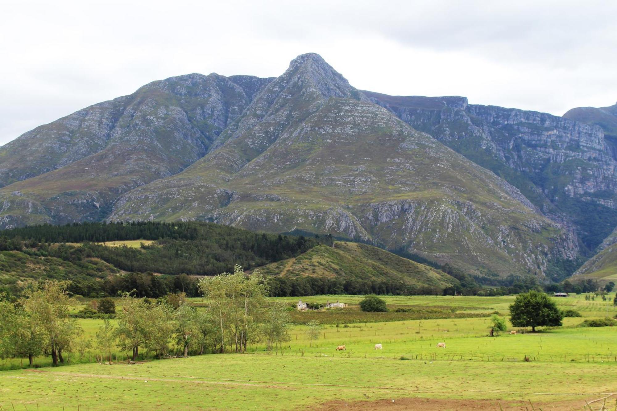 Arumvale Country Retreat Swellendam Exterior foto